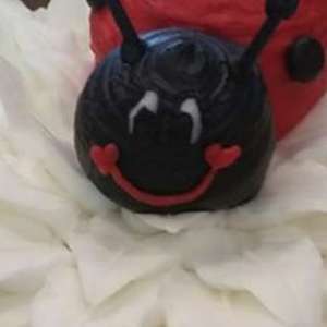 customladybug-cake